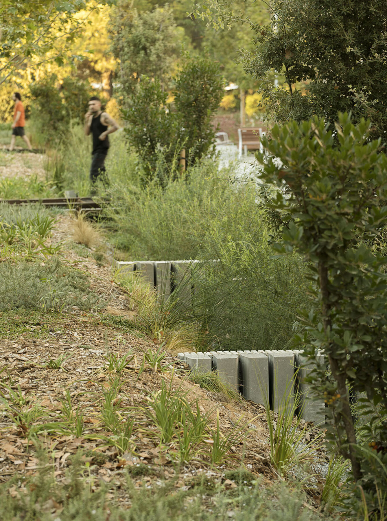 Archisearch Reurbanization of the northern stretch of the Rambla de la Girada in Vilafranca del Penedès | by Batlleiroig Arquitectura