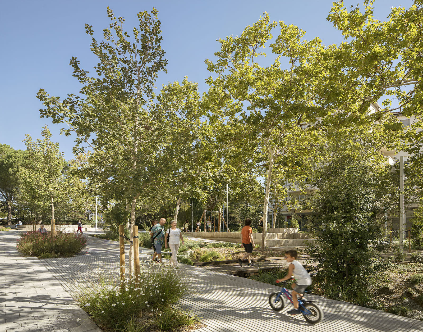 Archisearch Reurbanization of the northern stretch of the Rambla de la Girada in Vilafranca del Penedès | by Batlleiroig Arquitectura