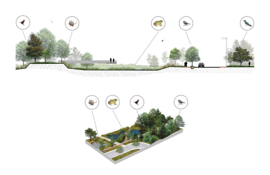 Biodiversity Corridor: a diversified urban landscape reconnecting all ...