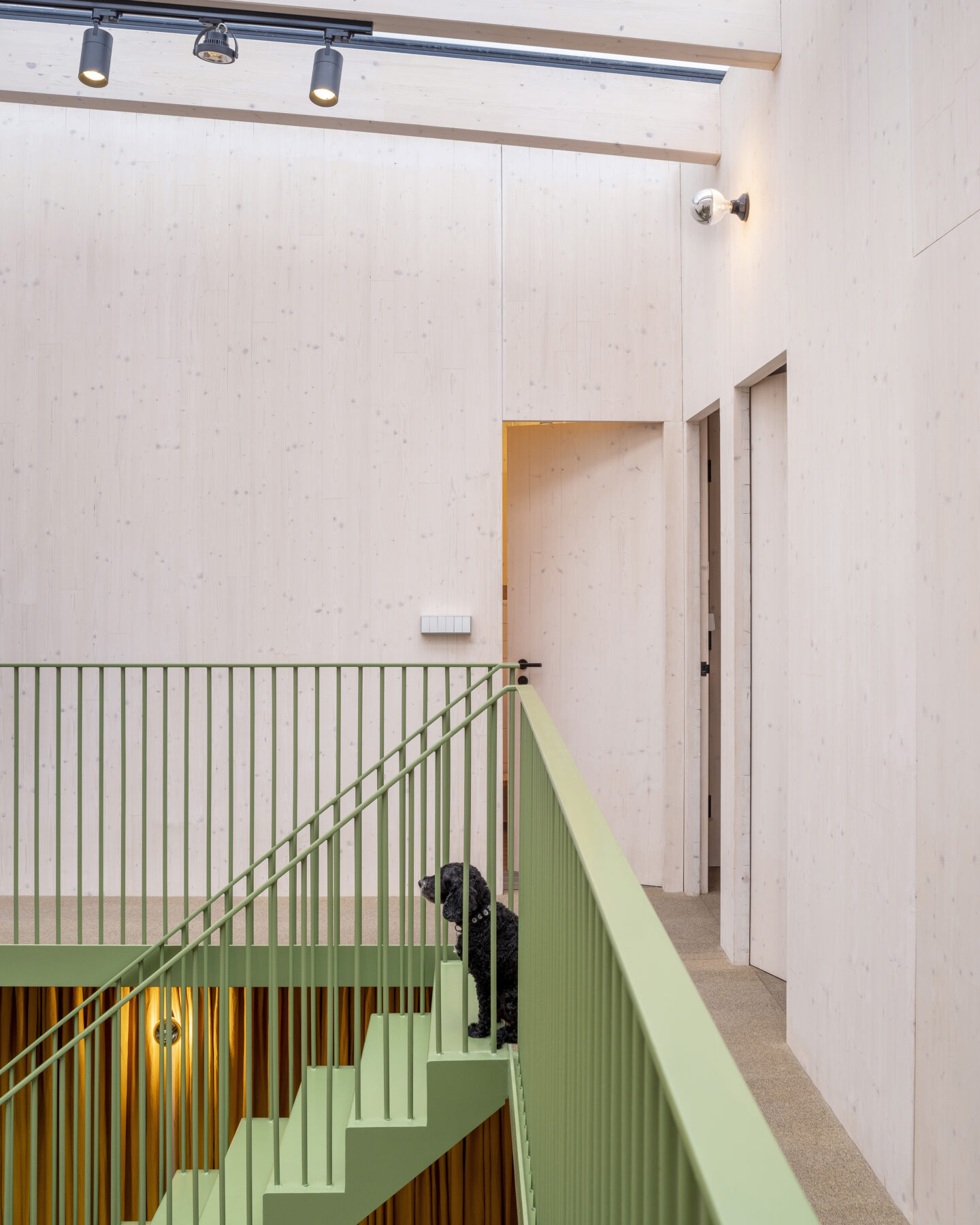 Archisearch Green House in Tottenham | by Hayhurst & Co Architects