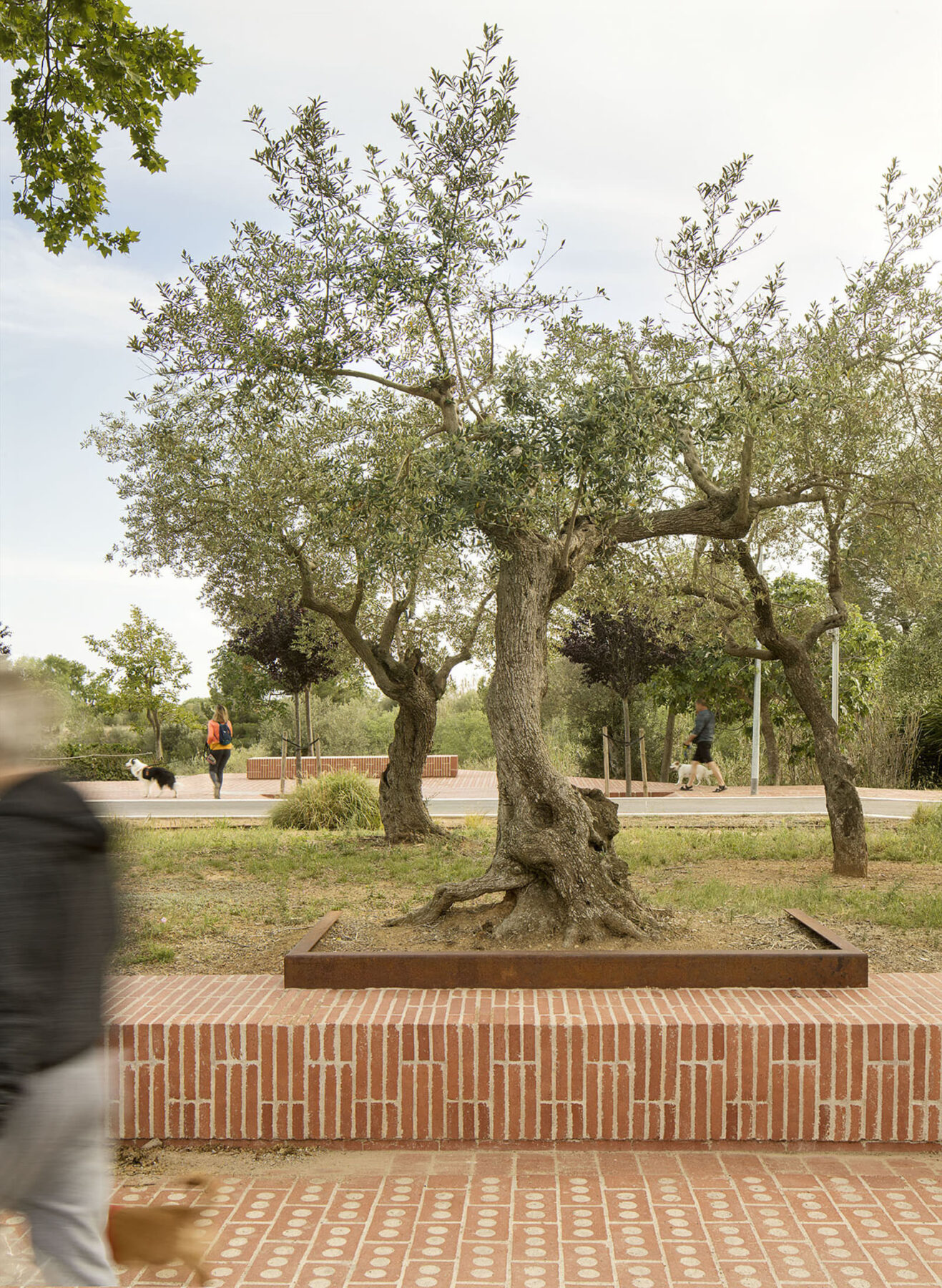 Archisearch Boca de la Mina Promenade in Reus, Spain | by Batlleiroig Arquitectura