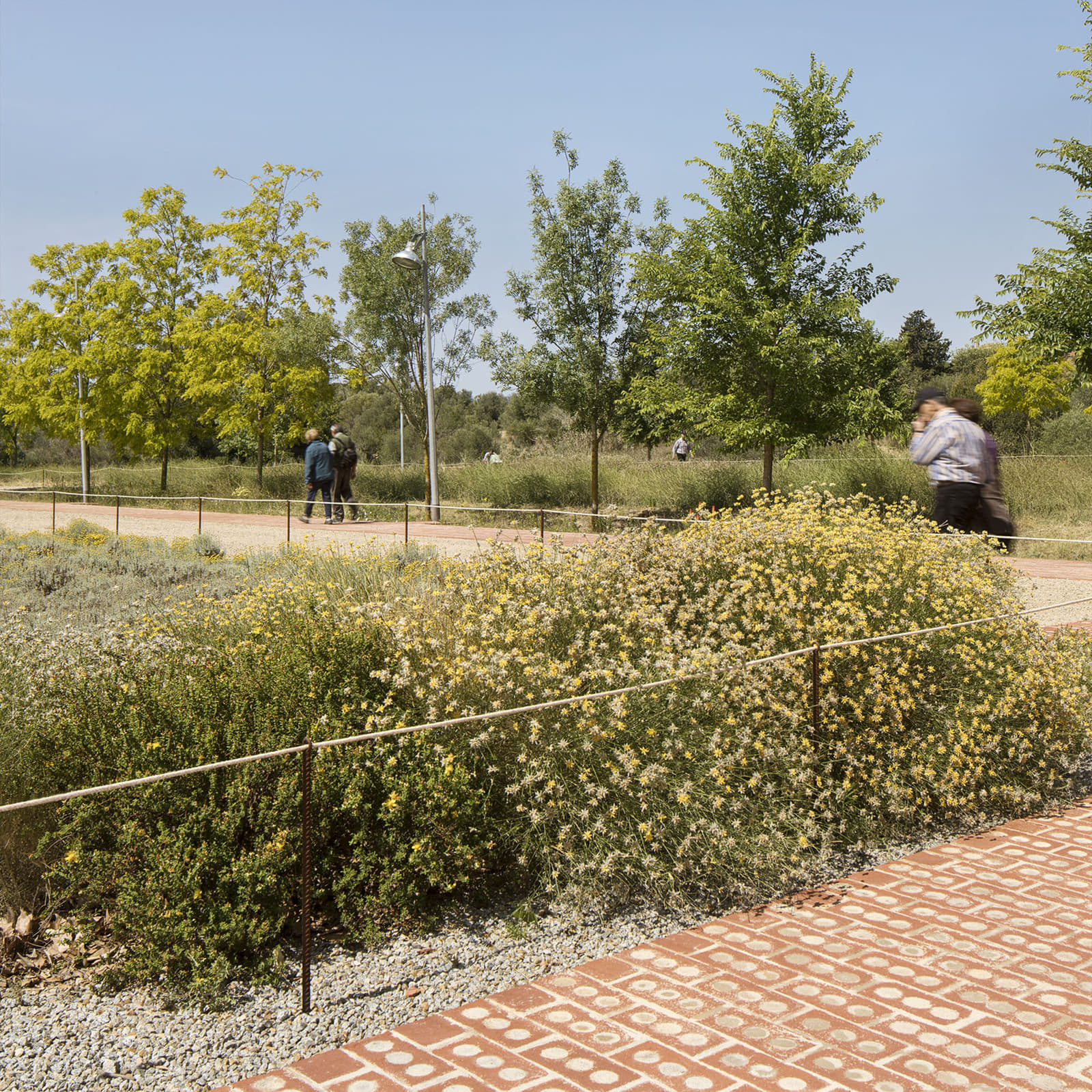 Archisearch Boca de la Mina Promenade in Reus, Spain | by Batlleiroig Arquitectura