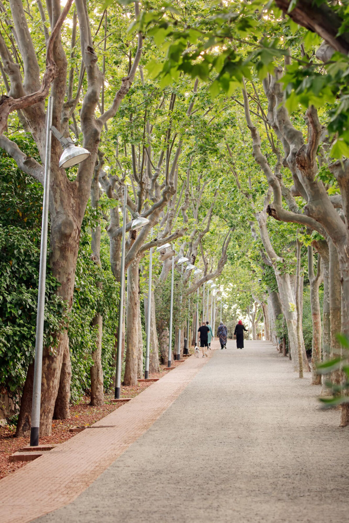 Boca de la Mina Promenade in Reus, Spain | by Batlleiroig Arquitectura