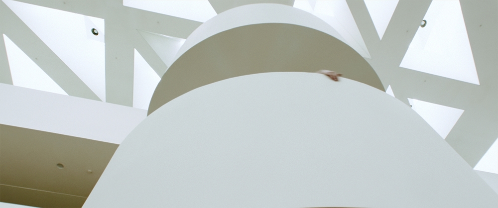 Archisearch THE LEARN'D / A SHORT FILM ABOUT THE POETRY OF LIGHT AND SPACE